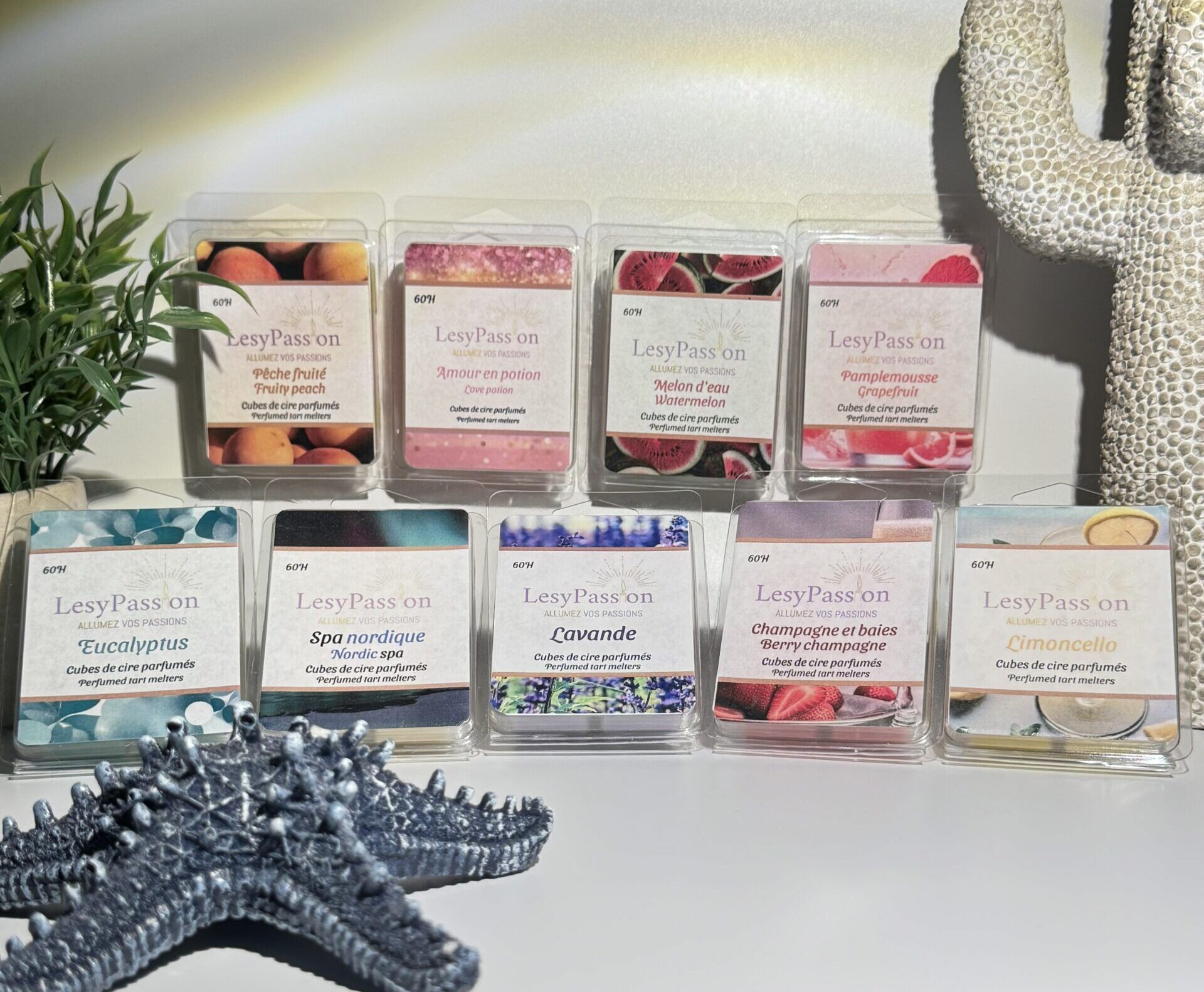 Notre collection de cubes de cire parfumées