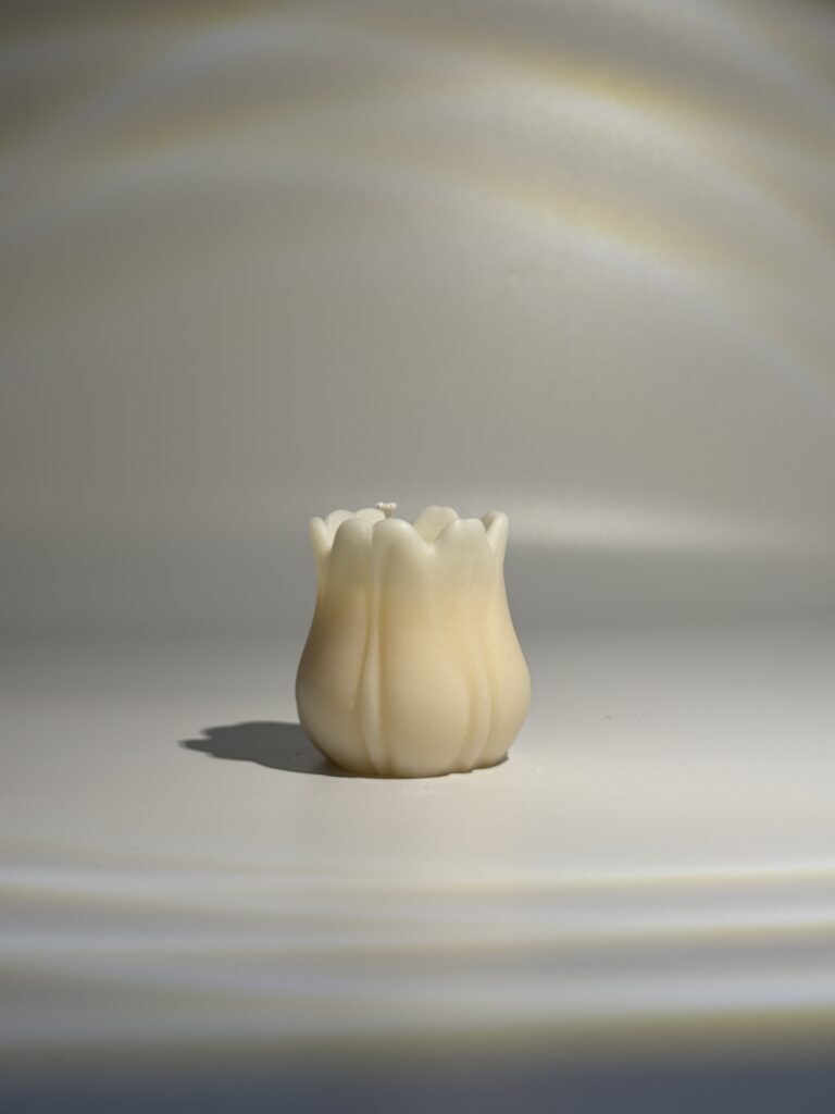 La tulipe