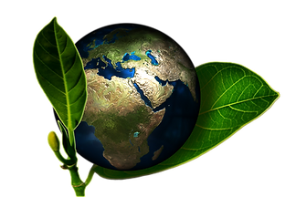 Écologie